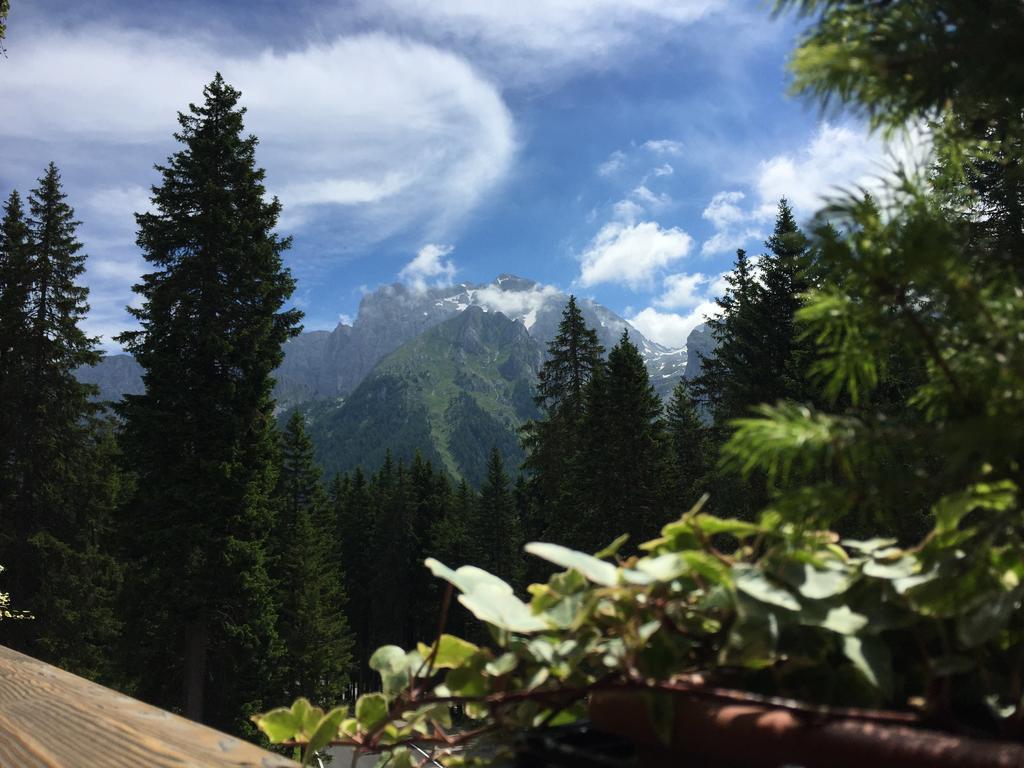 Maribel Hotel Madonna Dış mekan fotoğraf
